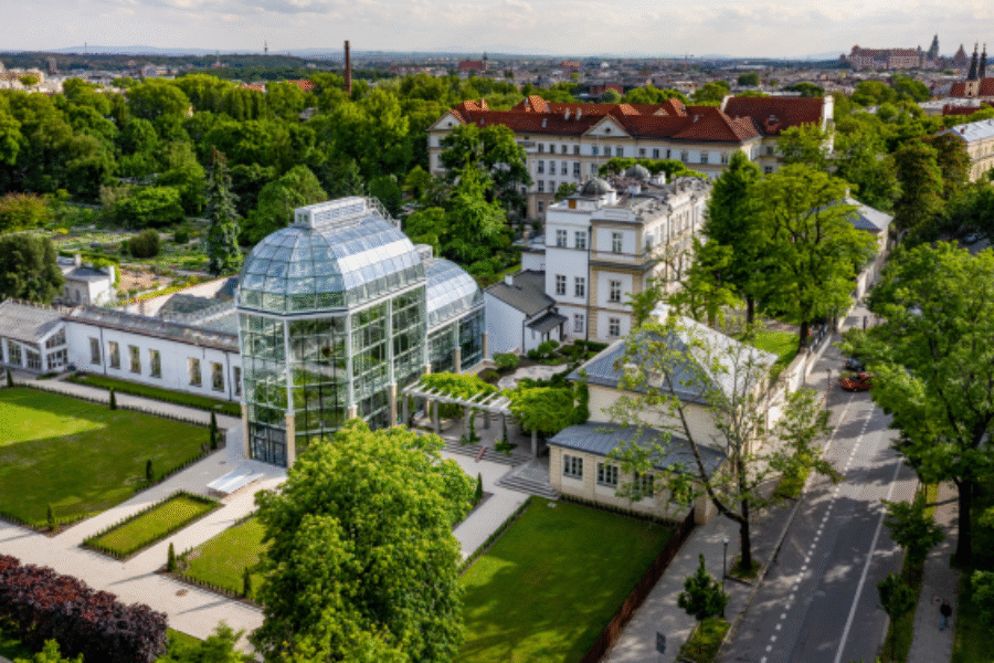Kraków